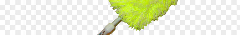 Feather Duster Turkey Creek Essentials Grasses Reuse Plant Stem Commodity PNG