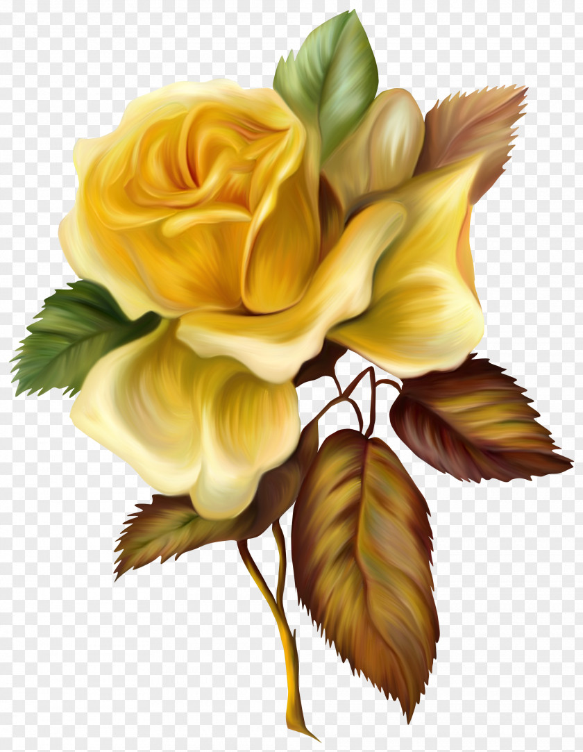 HD Hand-painted Oil Painting Flowers Rose Yellow Flower Clip Art PNG