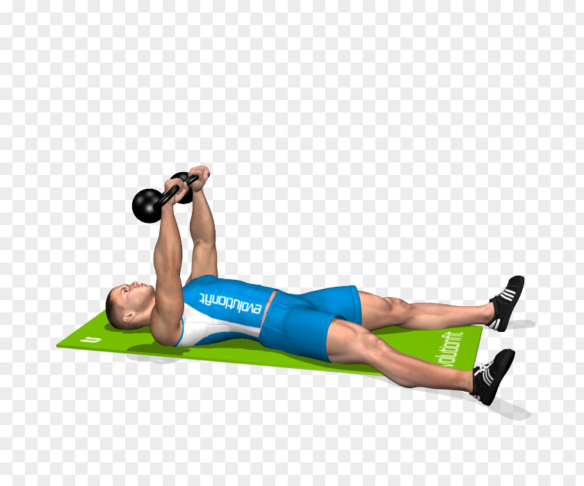 Kettlebell Physical Fitness Dumbbell Exercise Bench Press PNG fitness press, chest muscle clipart PNG