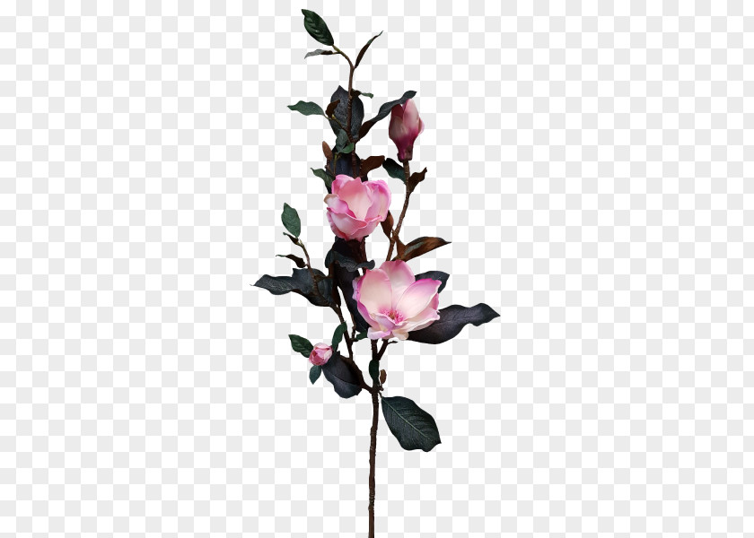 Pink Magnolia Cut Flowers Plant Stem Artificial Flower PNG