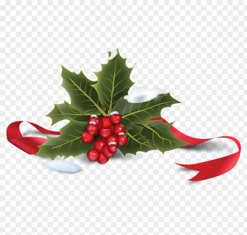 Creative Christmas Common Holly Icon PNG