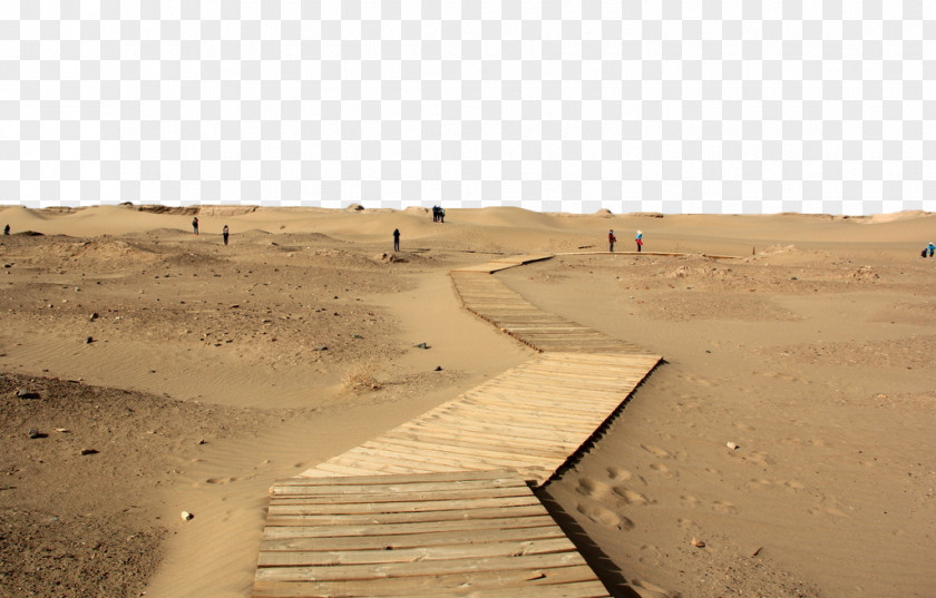 Desert In The Wood Road Erg Google Images Landscape PNG