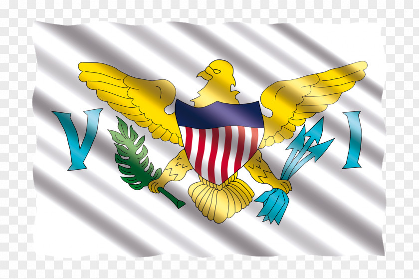 Flag Of The British Virgin Islands United States Tortola PNG
