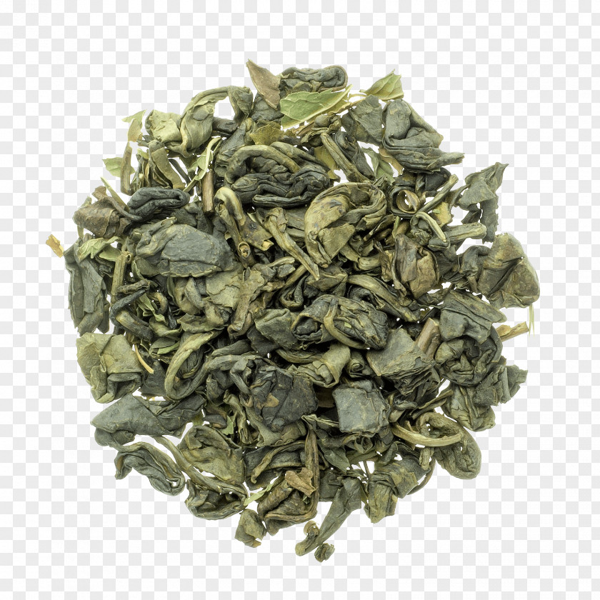 Mint Tea Green Hyson Tieguanyin Nilgiri PNG