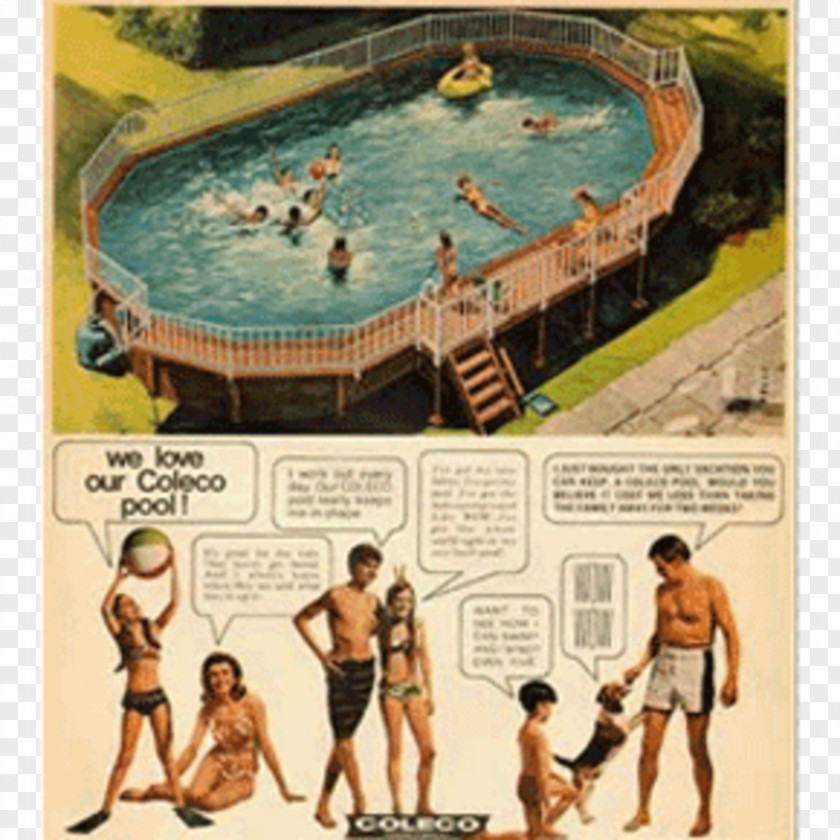 Swimming Pool Recreation Leisure PNG