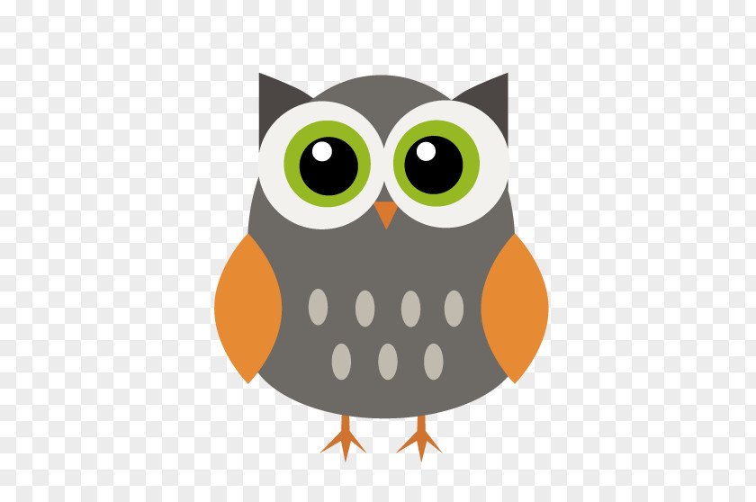 Watercolor Owl Drawing PNG
