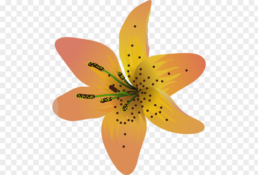 Amarelo Badge Lily Flower Painting Petal PNG