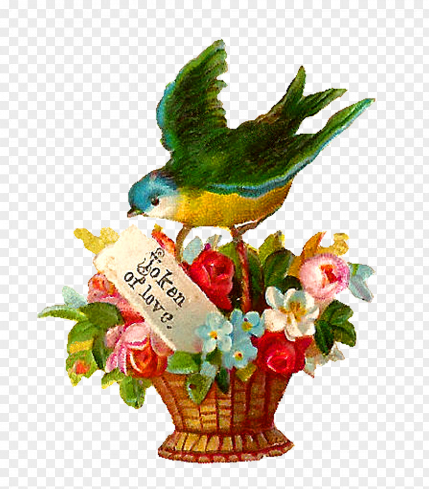 Bird Flower Flowerpot Floral Design Basket PNG