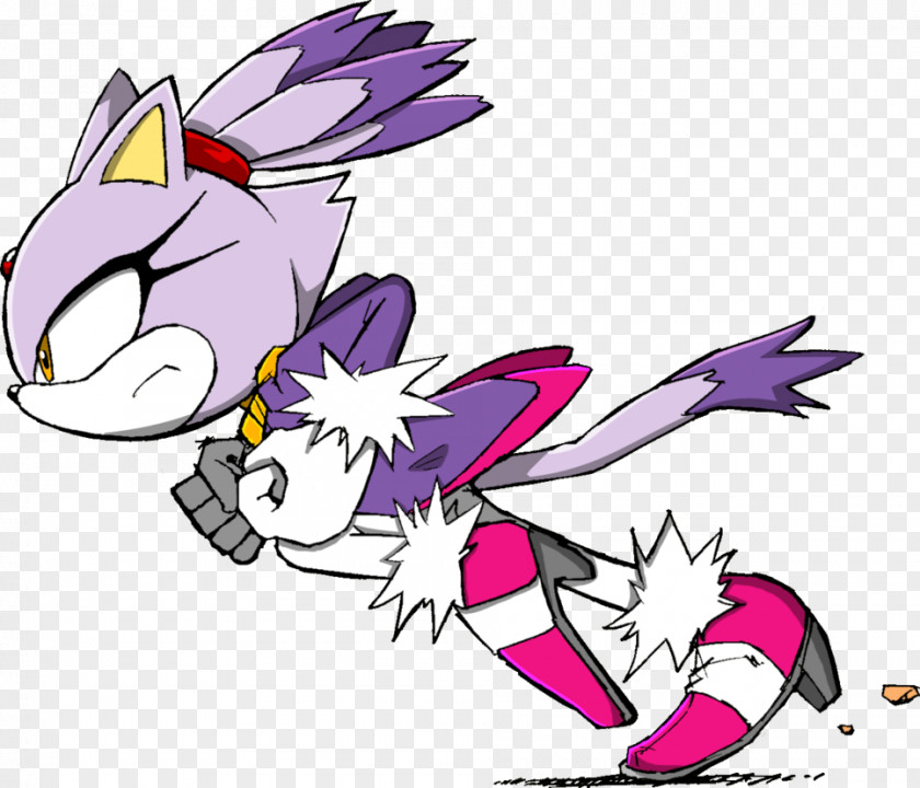 Blaze The Hedgehog Sonic Riders Chaos Doctor Eggman Amy Rose PNG