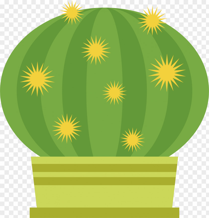 Cactus Vector Cactaceae PNG