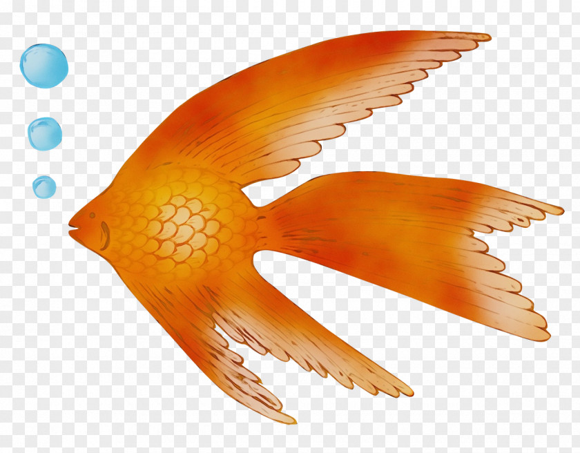 Fish Orange S.a. Wing Riba PNG