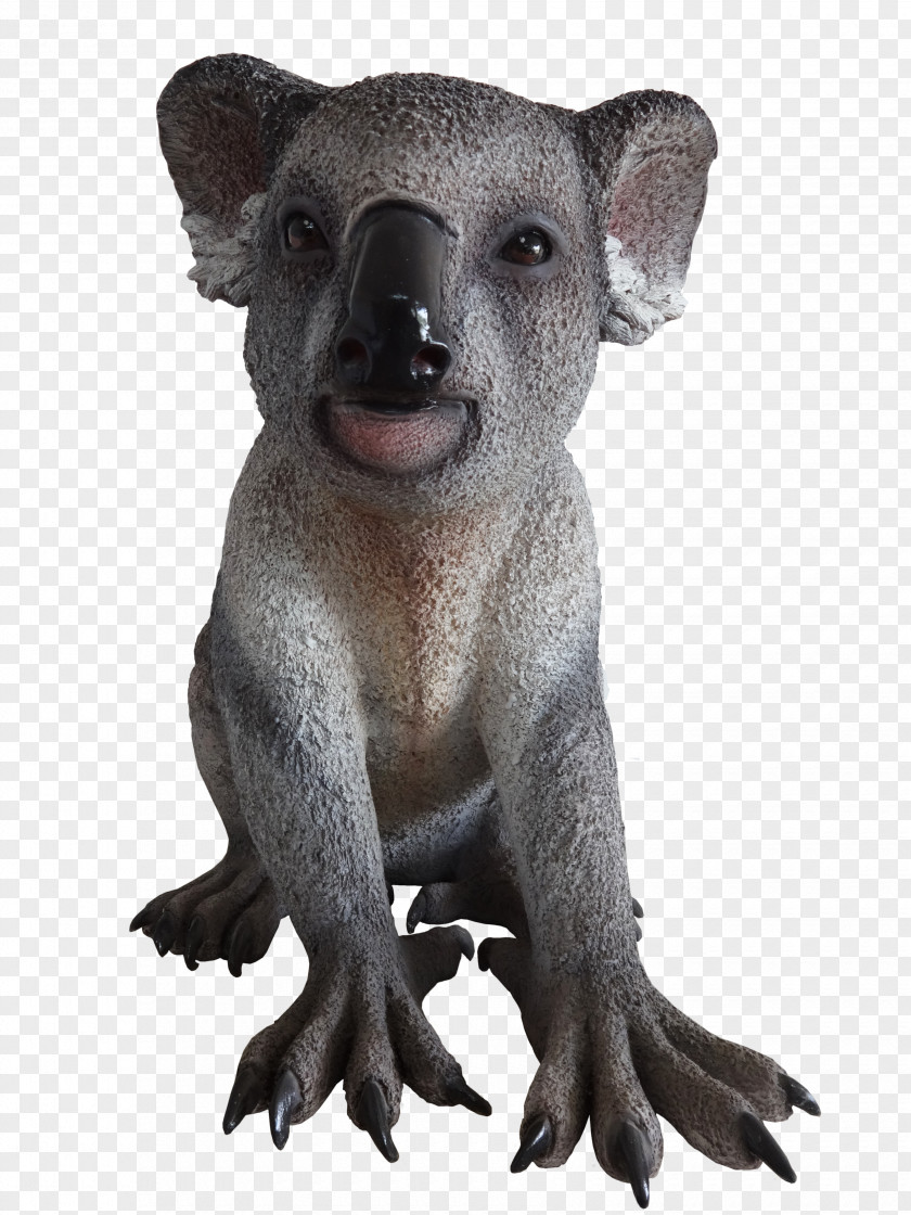 Koala Marsupial Mammal Animal Wildlife PNG