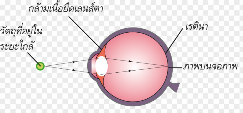 Learning From Other Light Eye Product Design Diagram PNG