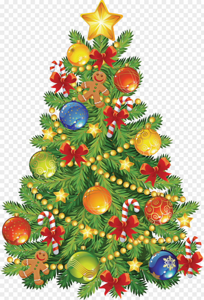 Christmas Tree PNG