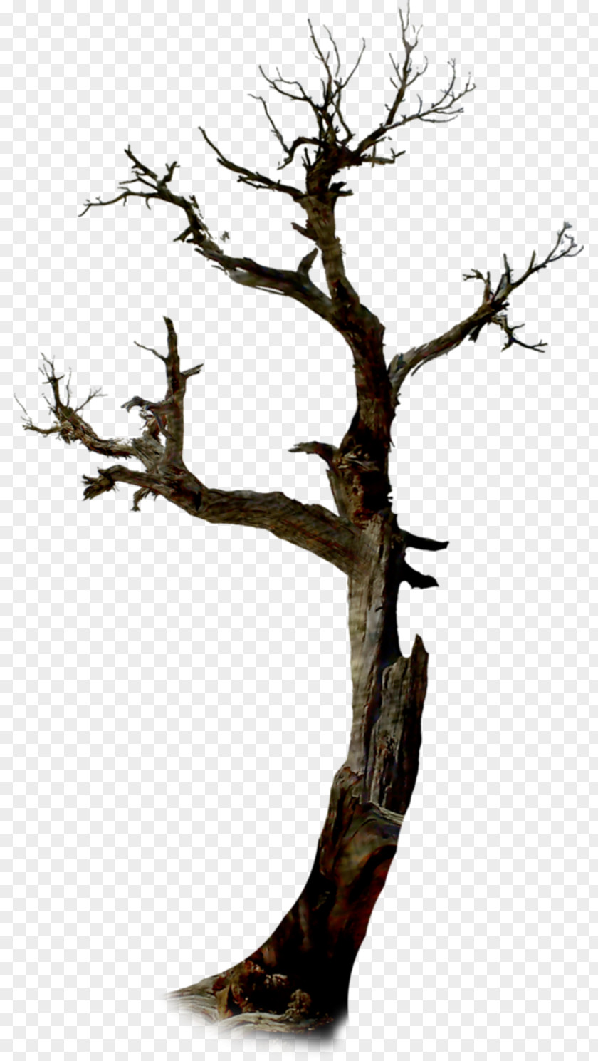 Dead Tree Twig The Halloween Clip Art PNG