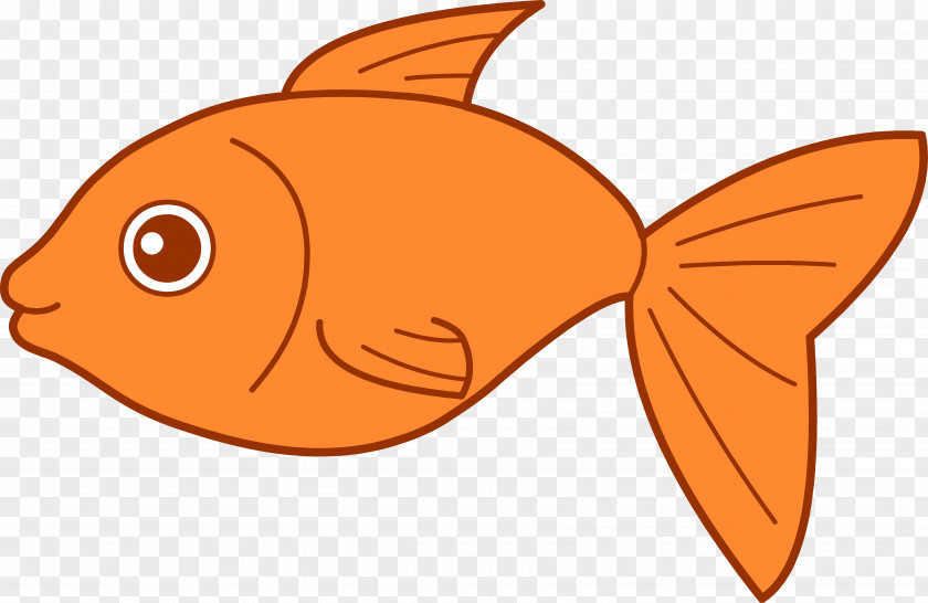 Fish Clip Art Koi PNG