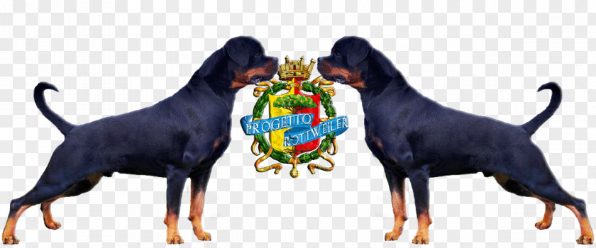 Ink Style Rottweiler Polish Hunting Dog Rocca Brancaleone German Pinscher Dobermann PNG