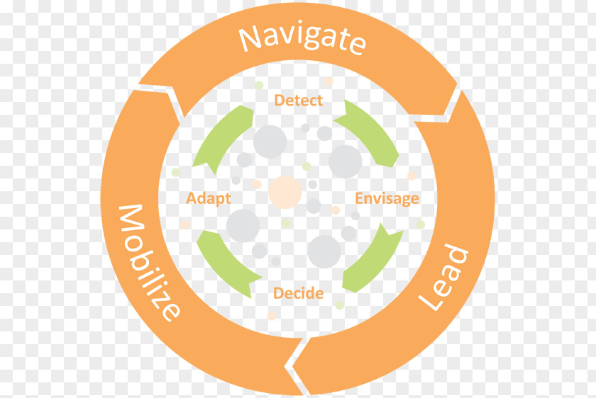 Organizational Framework Web Development Systems Life Cycle Software Process Computer PNG