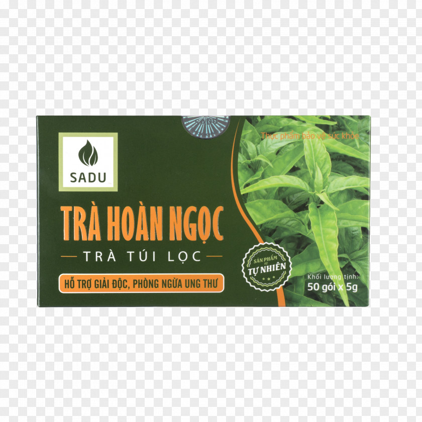 Tea Herb Nông Nghiệp Công Nghệ Cao Shop Rừng Vàng Root PNG