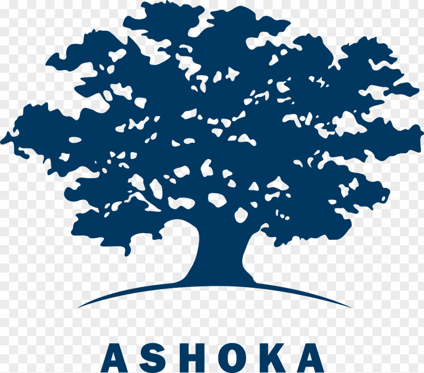 Ashoka Chakra Ashoka: Innovators For The Public Social Entrepreneurship Logo Innovation PNG