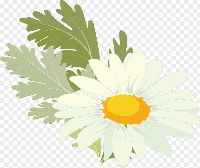 Beautiful Sunflower Material Common Leaf PNG