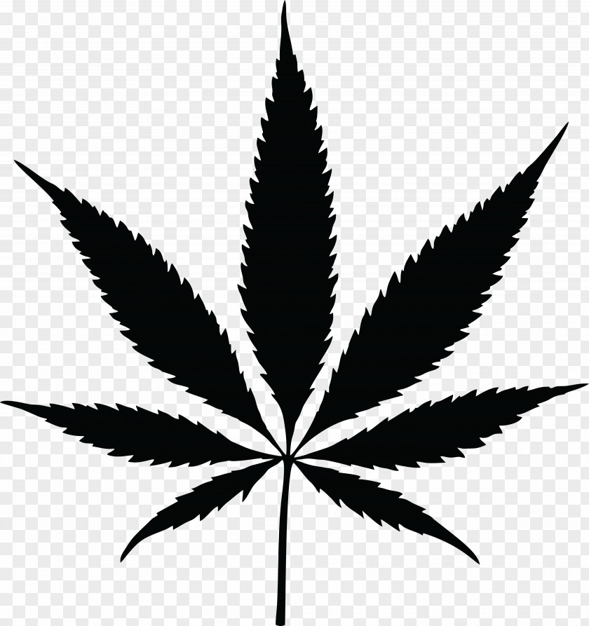 Cannabis Sativa Drawing Smoking PNG