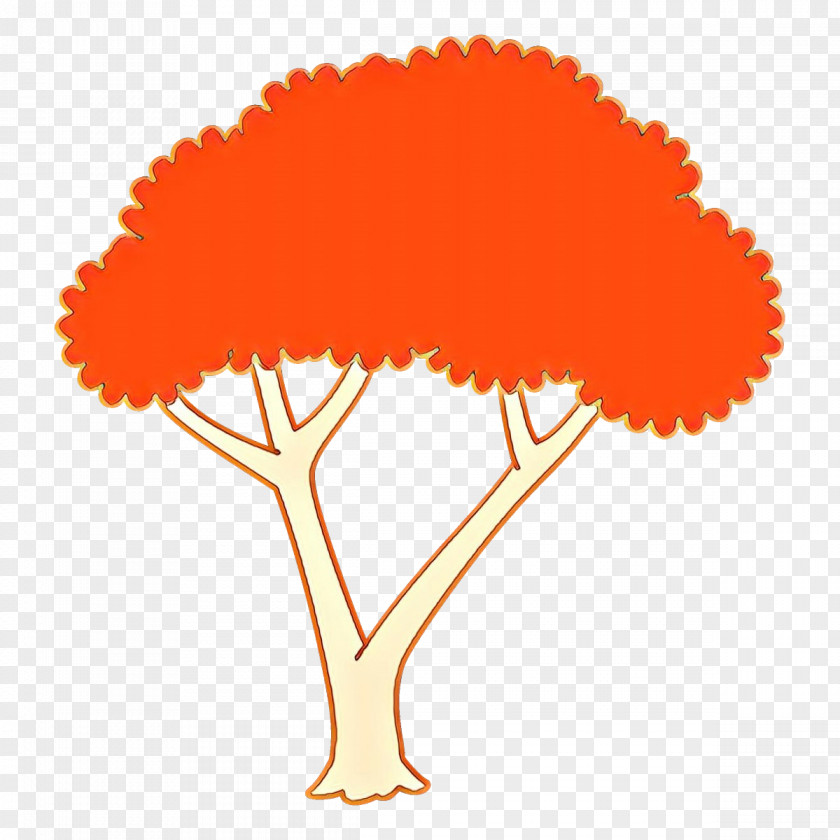 Orange PNG