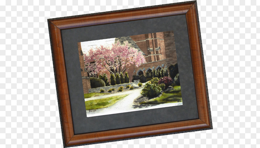 Palm Print Still Life Picture Frames Rectangle Flower PNG