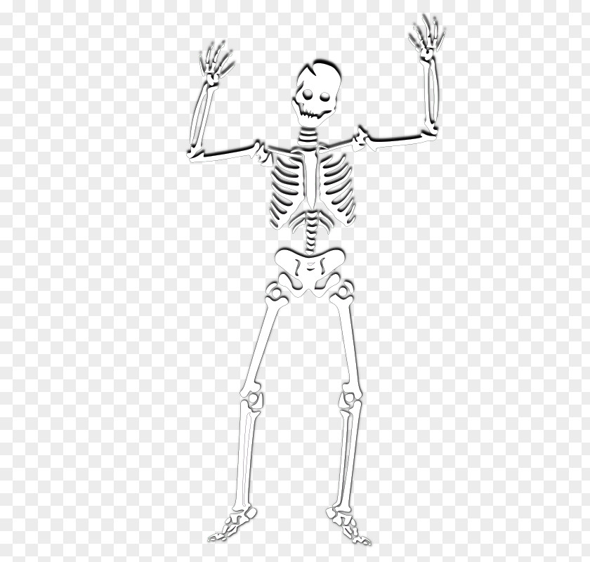 Skull Human Skeleton Clip Art PNG