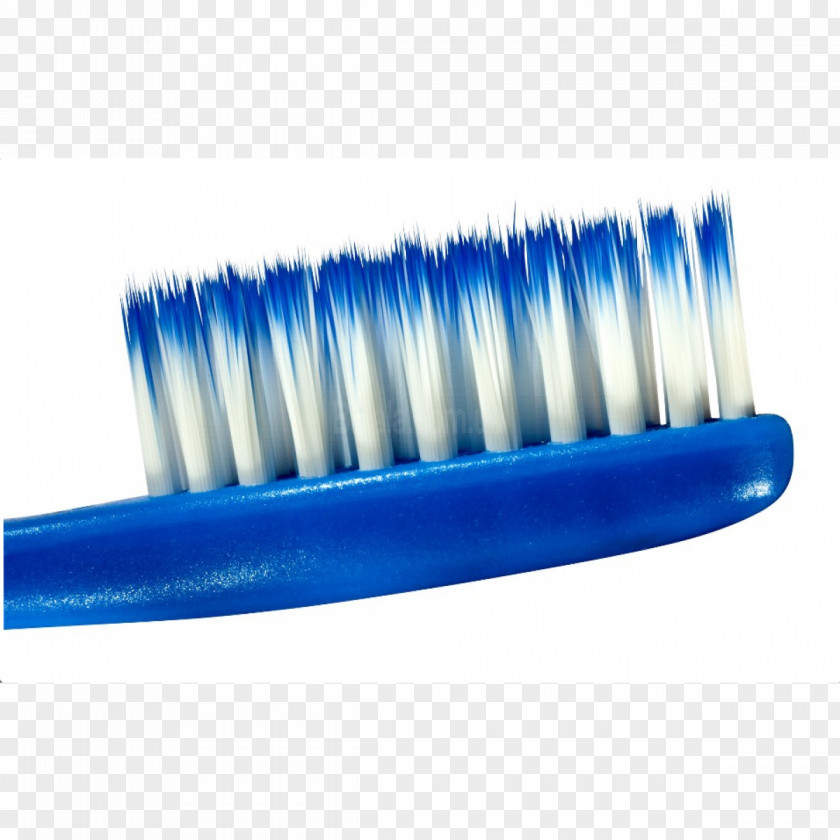 Toothbrush Mouthwash Gums PNG