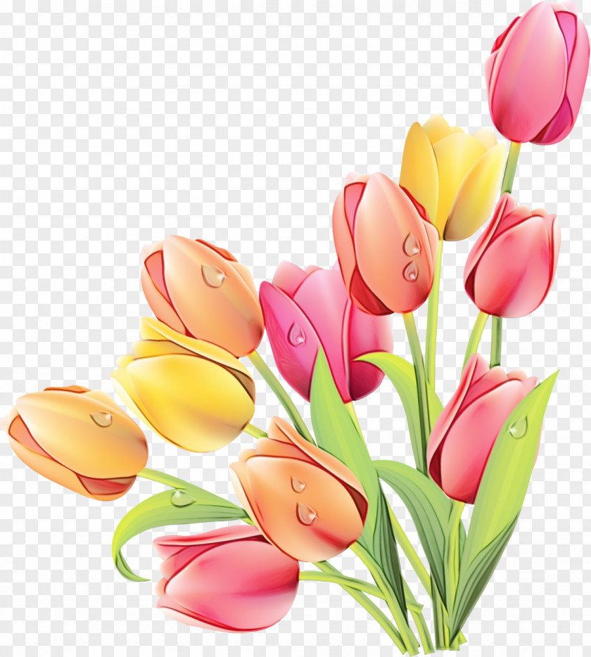 Tulip Clip Art Image Graphics Flower Bouquet PNG