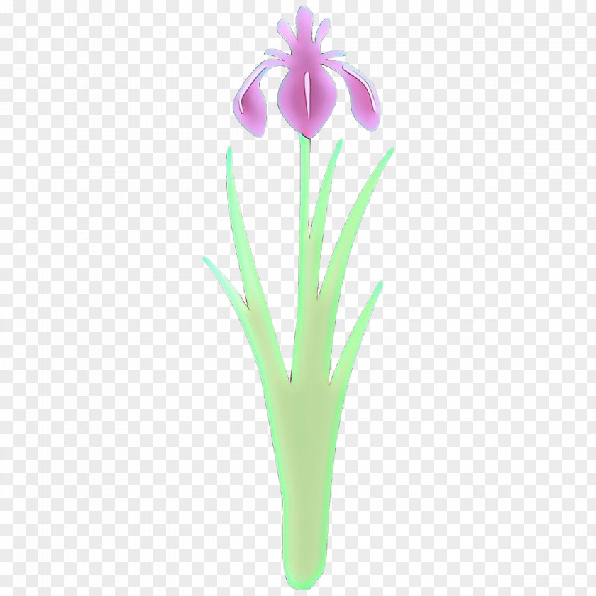 Flower Plant Violet Iris Petal PNG