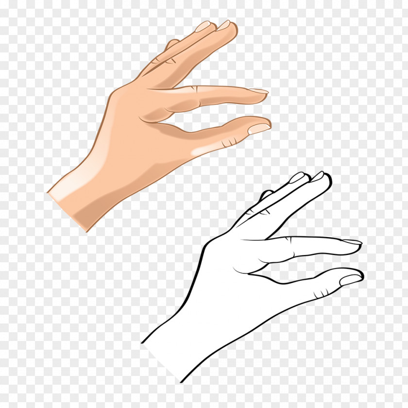 Hand Gesture Model Finger Thumb Arm PNG