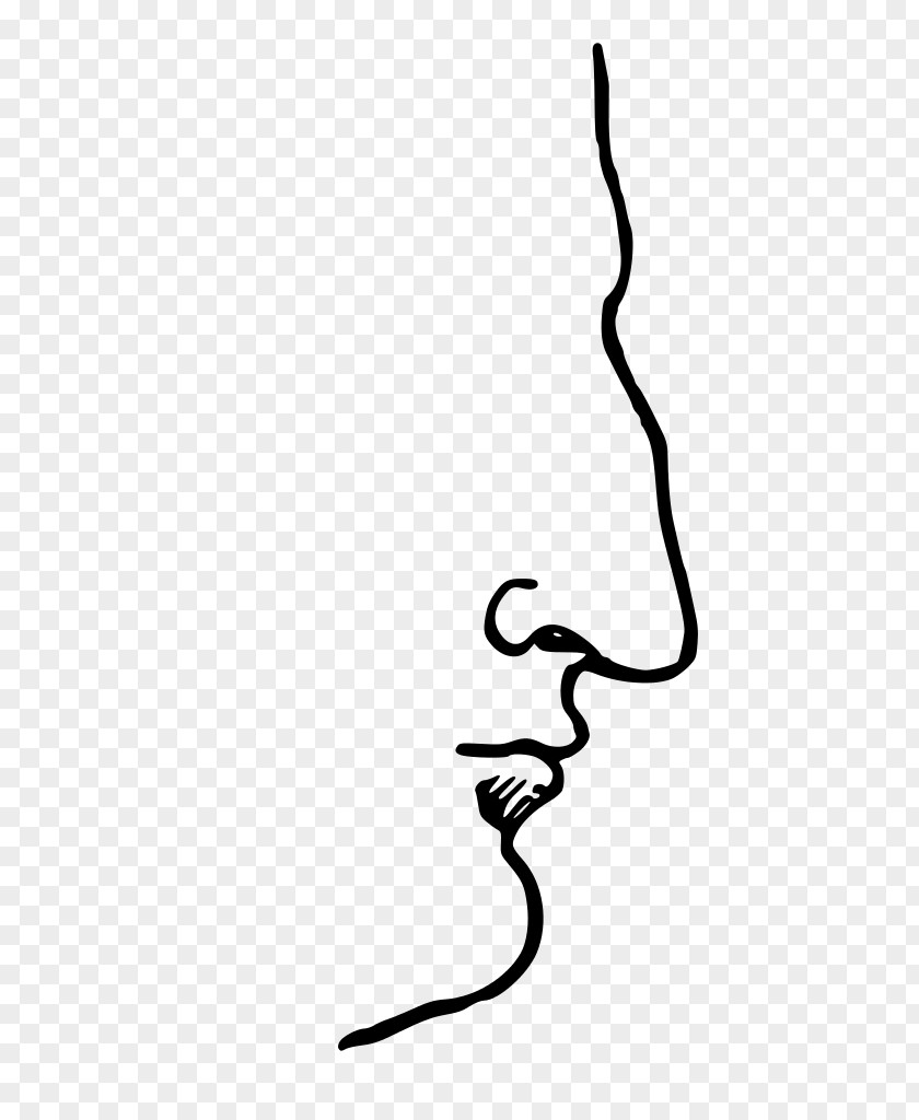 Nose Aquiline Human Eagle Shape PNG