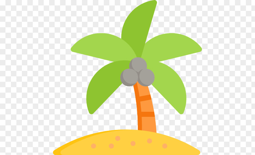 Palm Top PNG