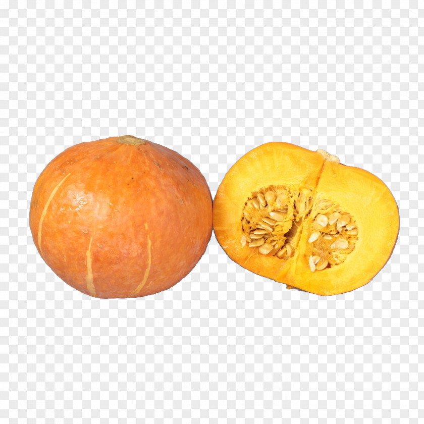 Pumpkin Crookneck Eating Food Vegetable PNG