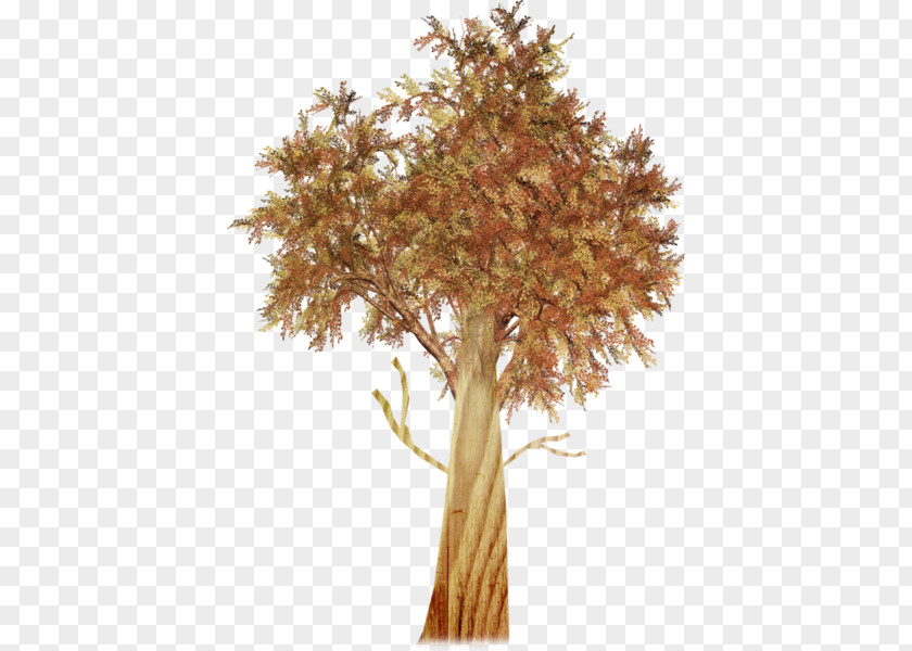 Twig Plant Stem PNG