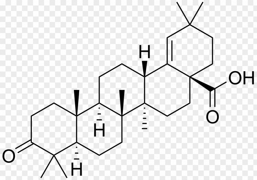 Acid Oleanolic Ursolic Triterpenoid Saponin Triterpene PNG
