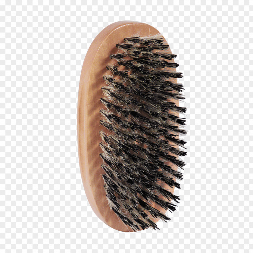 Boar Hairbrush Comb Bristle Hair Clipper PNG