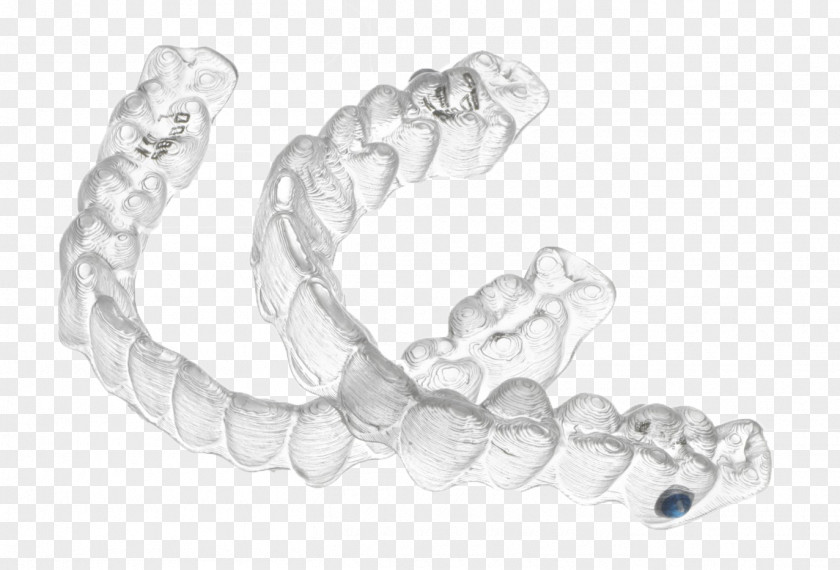 Braces Clear Aligners Orthodontics Dental Dentistry Therapy PNG