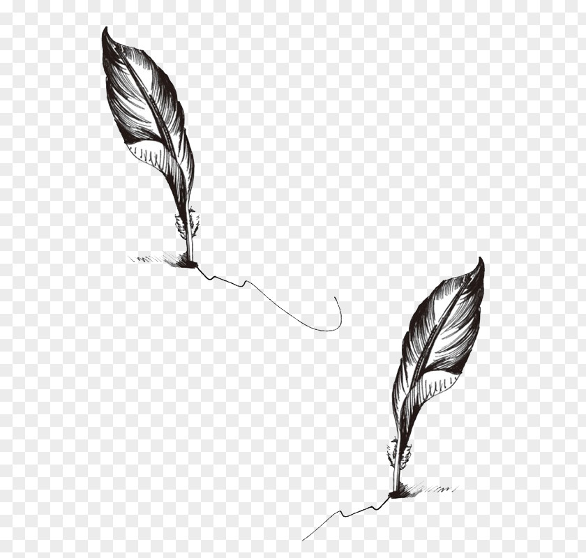 Hand Painted Quill Pen Paper Feather Tattoo PNG