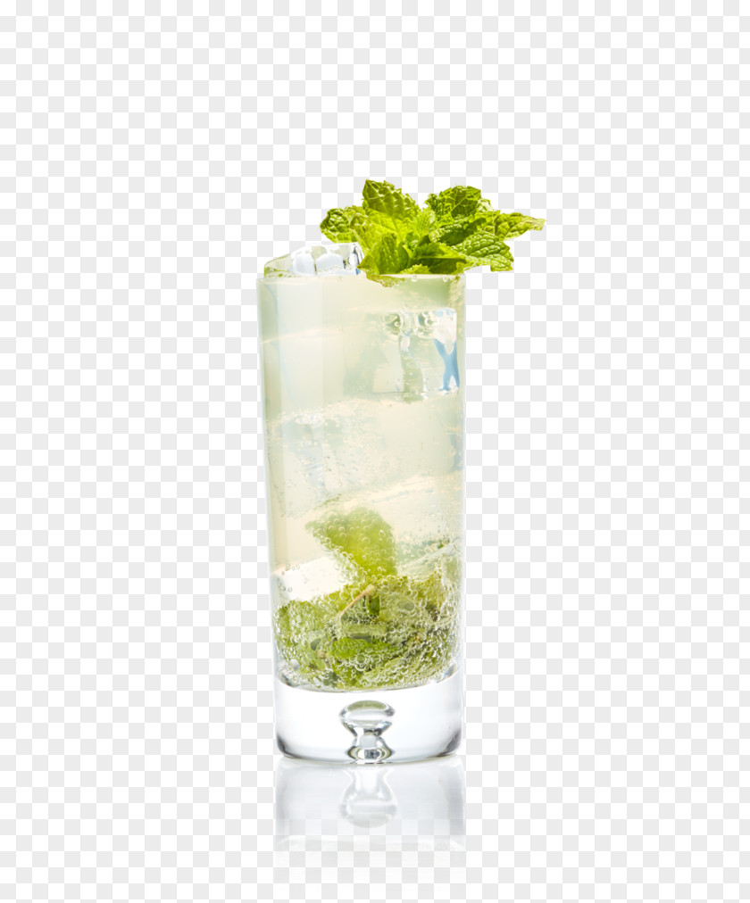 Little Refreshing Paradise Mojito Rickey Rum Cocktail Garnish PNG