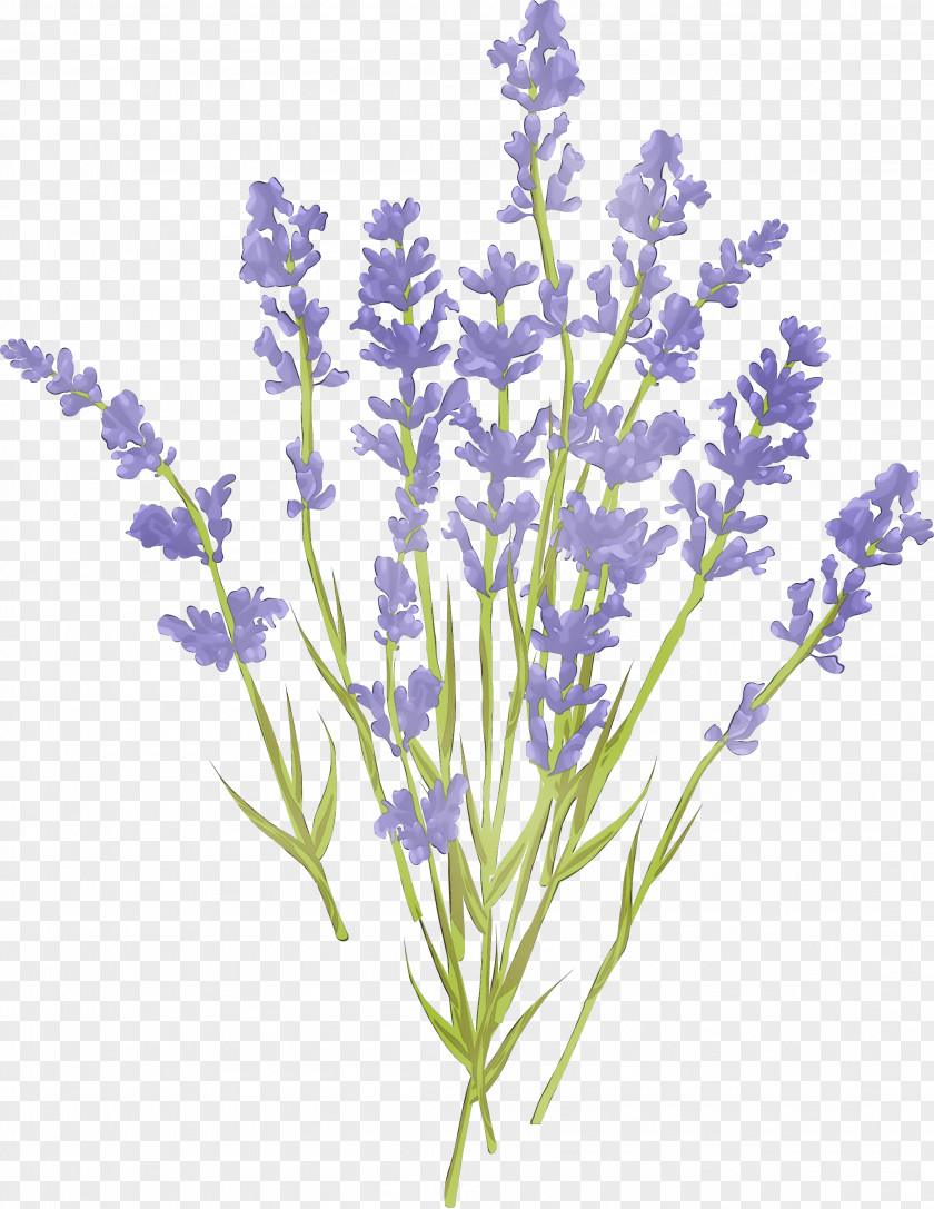 Plant Stem Monkshood Purple Watercolor Flower PNG