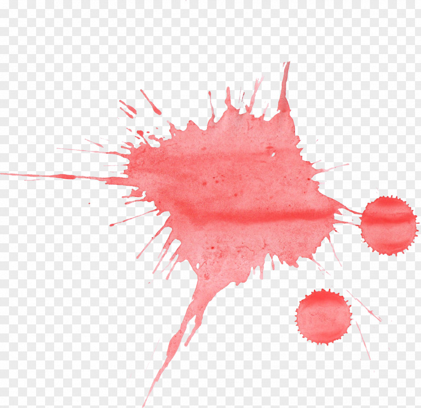 Water Color Watercolor Painting Red PNG