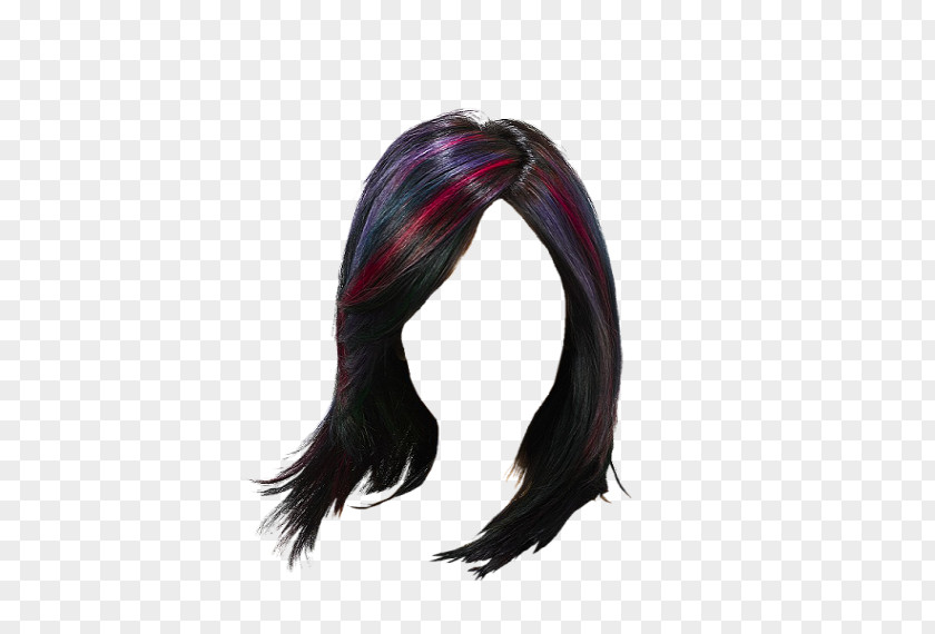 Celebrity Hairstyles Wig Hair Tie Hairstyle Black PNG