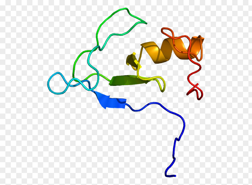 Dependent Source RNF38 Gene Protein Human RING Finger Domain PNG