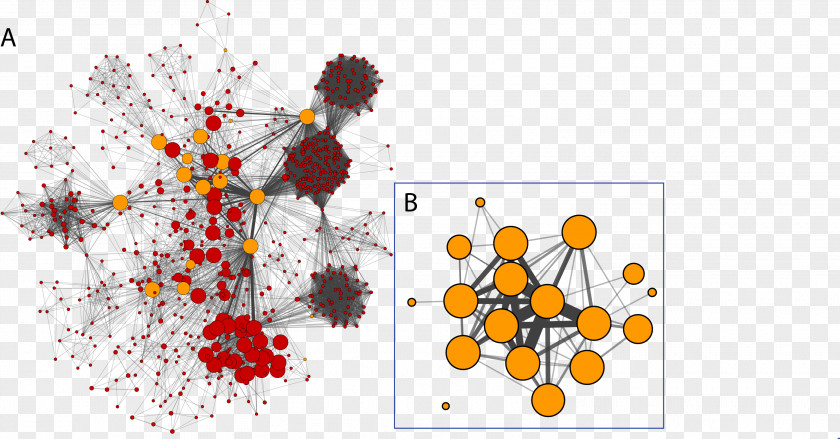 Social Network Cytoscape Analysis Computer Visualization PNG