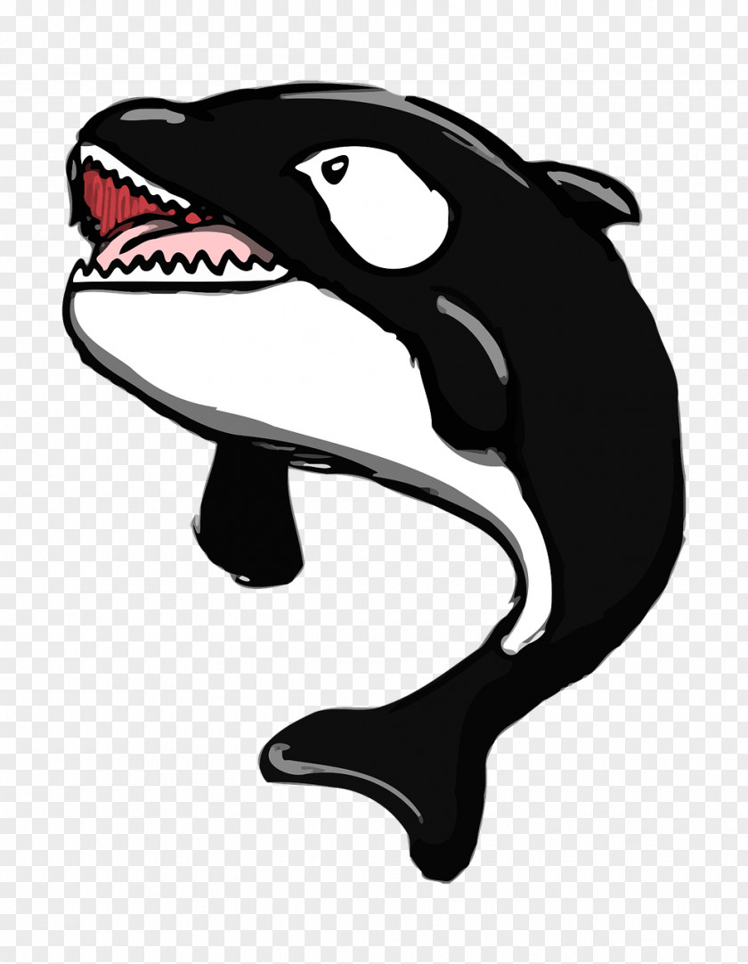 Dolphin Les Mammifères Sperm Whale Marine Mammal PNG mammifères whale mammal, dolphin clipart PNG