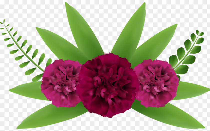 Flower Clip Art PNG