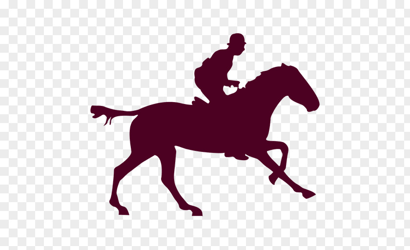 Horse Riding Equestrian Pony English Rein PNG
